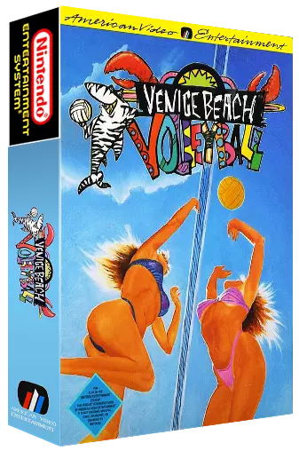 beach volleyball nes