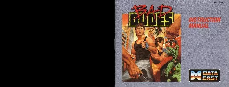 manual for Bad Dudes