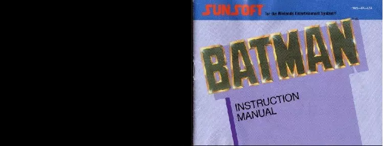 manual for Batman - The Video Game