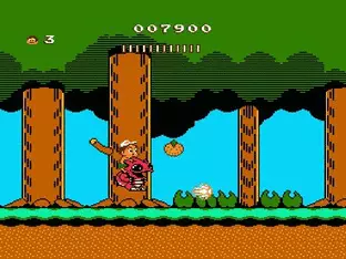 Image n° 6 - screenshots  : Adventure Island II