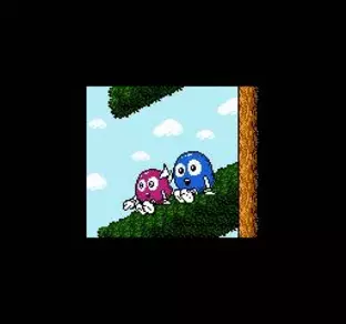 Image n° 9 - screenshots : Adventures of Lolo 3 Image n° 9 - screenshots : Adventures of Lolo 3