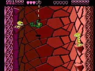 Image n° 9 - screenshots : BattleToads Image n° 9 - screenshots : BattleToads