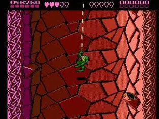 Image n° 8 - screenshots  : BattleToads