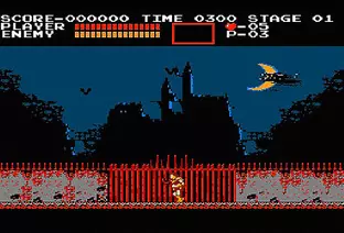 Image n° 10 - screenshots  : Castlevania