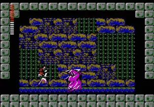 Image n° 6 - screenshots  : Castlevania II - Simon's Quest