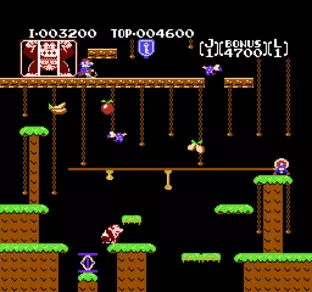 Image n° 2 - screenshots  : Donkey Kong Jr.