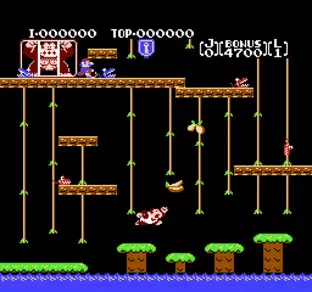 Image n° 5 - screenshots  : Donkey Kong Jr.