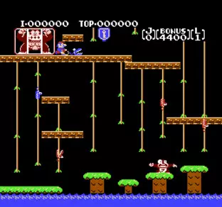 Image n° 6 - screenshots  : Donkey Kong Jr.