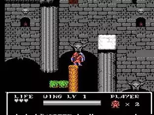Image n° 2 - screenshots  : Gargoyle's Quest II