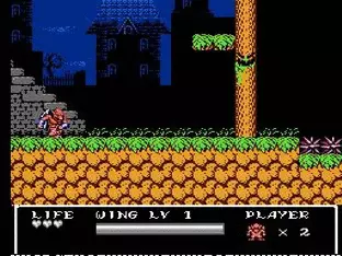 Image n° 3 - screenshots  : Gargoyle's Quest II