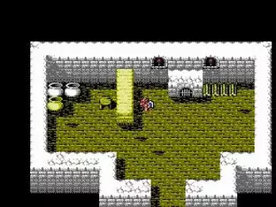 Image n° 5 - screenshots  : Gargoyle's Quest II