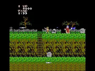 Image n° 5 - screenshots  : Ghosts n Goblins