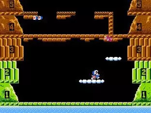 Image n° 10 - screenshots  : Ice Climber