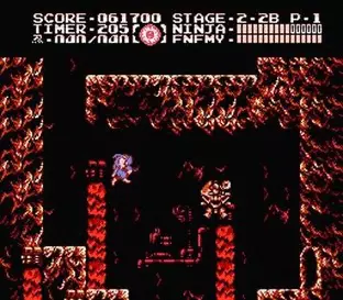 Image n° 7 - screenshots  : Ninja Gaiden