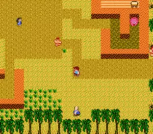 Image n° 8 - screenshots  : StarTropics