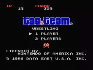 Image n° 6 - screenshots  : Tag Team Wrestling