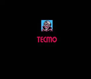 Image n° 10 - screenshots  : Tecmo World Wrestling