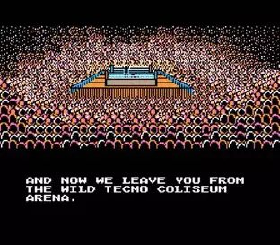 Image n° 7 - screenshots  : Tecmo World Wrestling