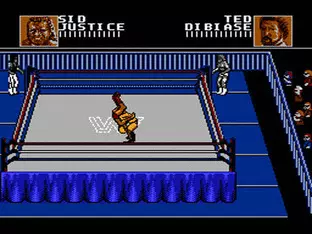 Image n° 10 - screenshots  : WWF Steel Cage Challenge