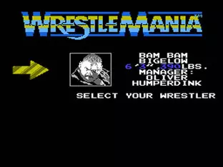 Image n° 10 - screenshots  : WWF Wrestlemania