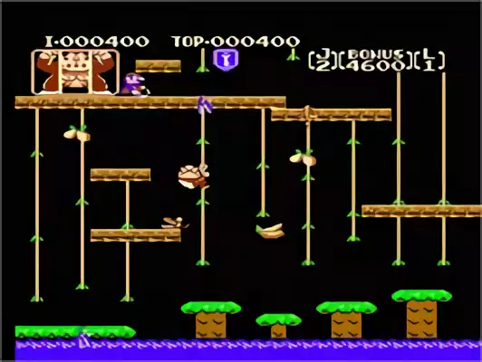 Image n° 5 - screenshots : Donkey Kong Classics