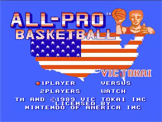 Image n° 9 - titles : All-Pro Basketball