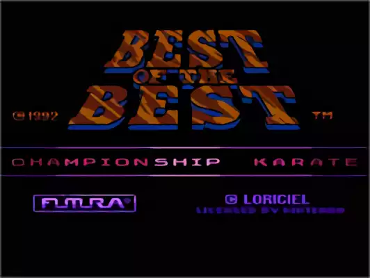 Image n° 11 - titles : Best of the Best - Championship Karate