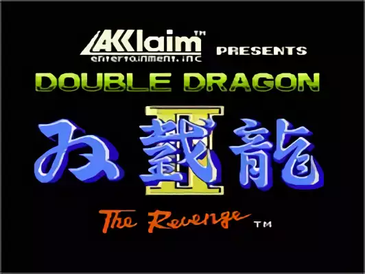 Image n° 11 - titles : Double Dragon II - The Revenge
