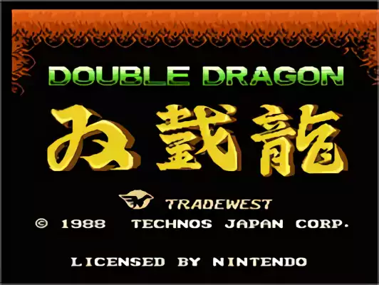Image n° 11 - titles : Double Dragon