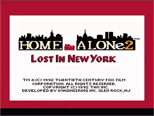 Image n° 9 - titles : Home Alone 2 - Lost in New York