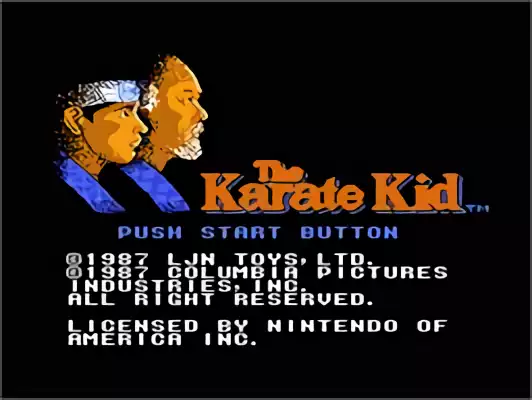 Image n° 11 - titles : Karate Kid, The