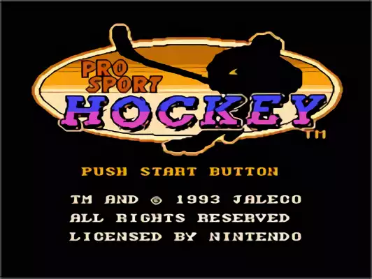 Image n° 9 - titles : Pro Sport Hockey