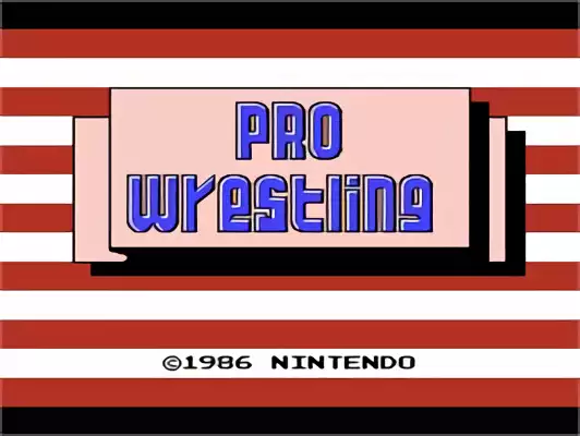 Image n° 11 - titles : Pro Wrestling