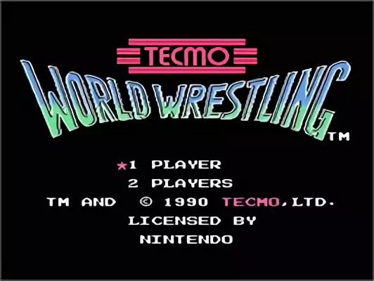 Image n° 11 - titles : Tecmo World Wrestling