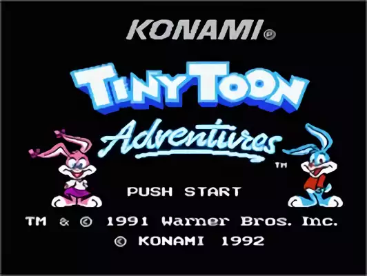 Image n° 11 - titles : Tiny Toon Adventures