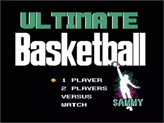 Image n° 6 - titles : Ultimate Basketball