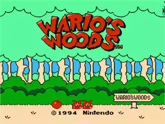 Image n° 9 - titles : Wario's Woods