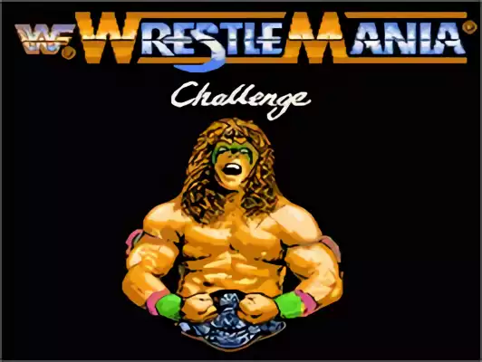Image n° 11 - titles : WWF Wrestlemania Challenge