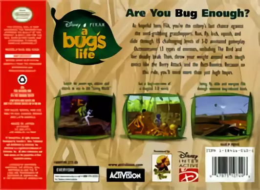 Image n° 2 - boxback : Bug's Life, A