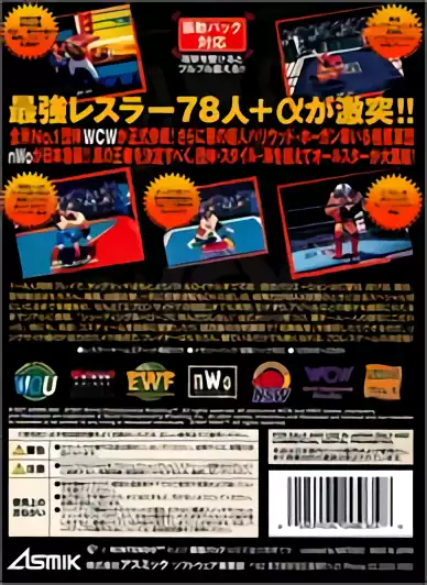 Image n° 2 - boxback : Virtual Pro Wrestling 64