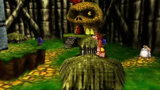 Image n° 4 - screenshots  : Banjo-Kazooie