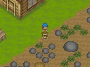 Image n° 8 - screenshots  : Harvest Moon 64