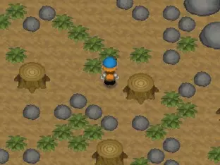 Image n° 5 - screenshots  : Harvest Moon 64