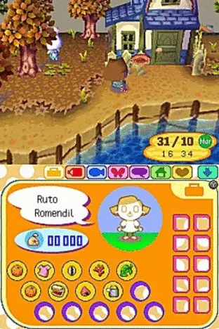 Calle Retirado Hierbas Animal Crossing - Wild World (2006) - Descargar ROM Nintendo DS - Emurom.net