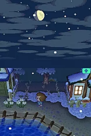 Image n° 4 - screenshots  : Animal Crossing - Wild World