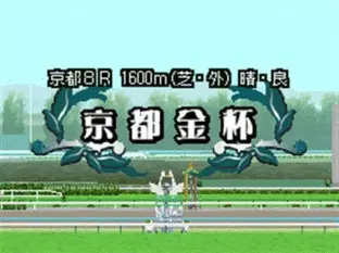 Image n° 5 - screenshots  : Derby Stallion DS