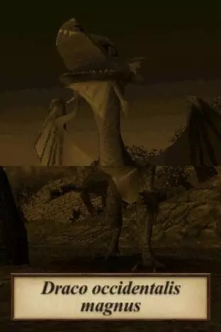 Image n° 5 - screenshots  : Dragonology