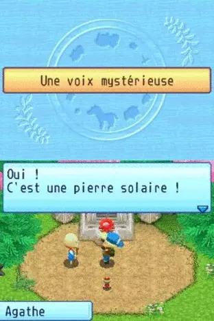 Image n° 3 - screenshots  : Harvest Moon DS - Sunshine Islands