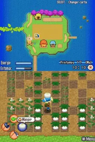 Image n° 4 - screenshots  : Harvest Moon DS - Sunshine Islands