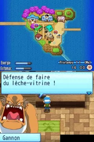 Image n° 5 - screenshots  : Harvest Moon DS - Sunshine Islands